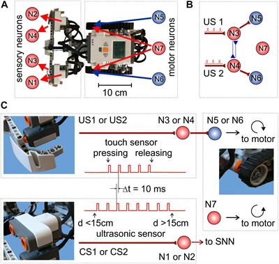 Spatial Properties of STDP in a Self-Learning Spiking Neural Network Enable Controlling a Mobile Robot